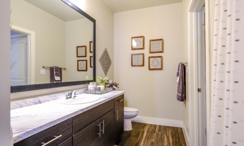 a bathroom with a large mirror and a white counter