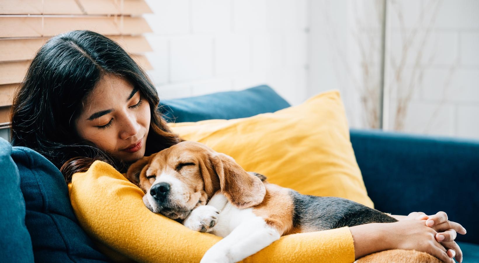 We welcome your pet family a person lying on a couch with a dog
